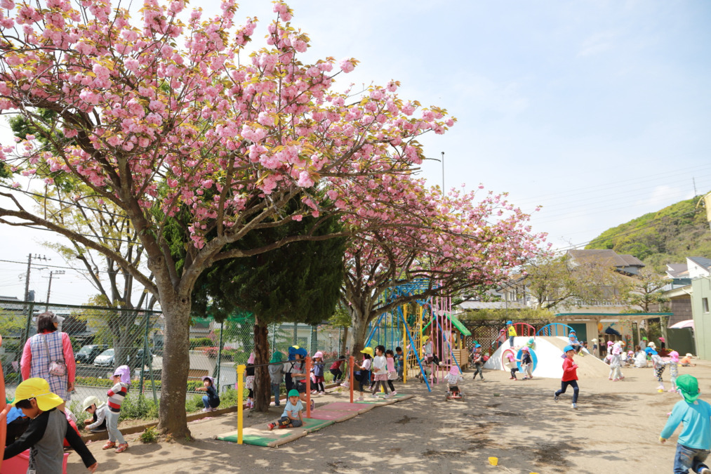 カナリヤ幼稚園（幼稚園教諭の求人）の写真：