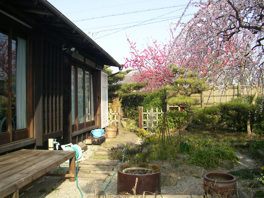 デイサービスさくらのきの家の写真2枚目：