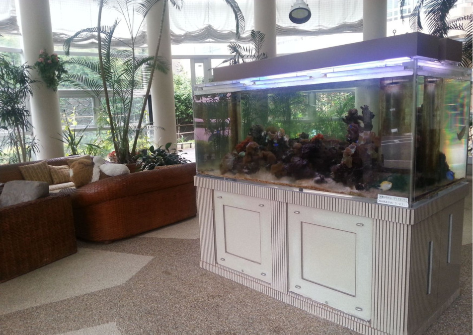 介護老人保健施設リハリゾートわかたけ(看護師/准看護師の求人)の写真2枚目:南国風のアトリウム