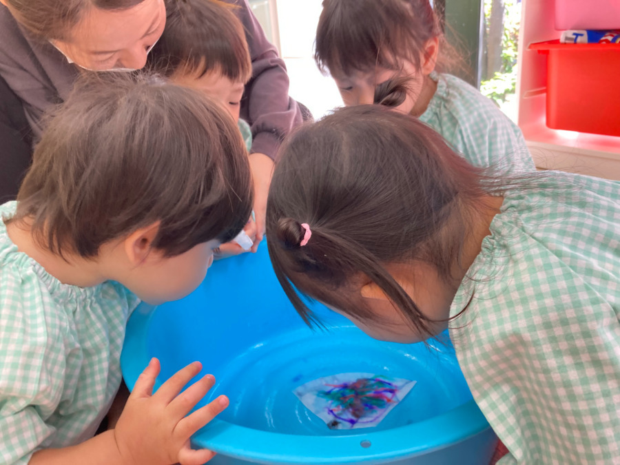 みなみの森保育園(保育補助の求人)の写真4枚目:子どもたちの"おもしろい" ”たのしい” ”ふしぎ”という気持ちを大切に!