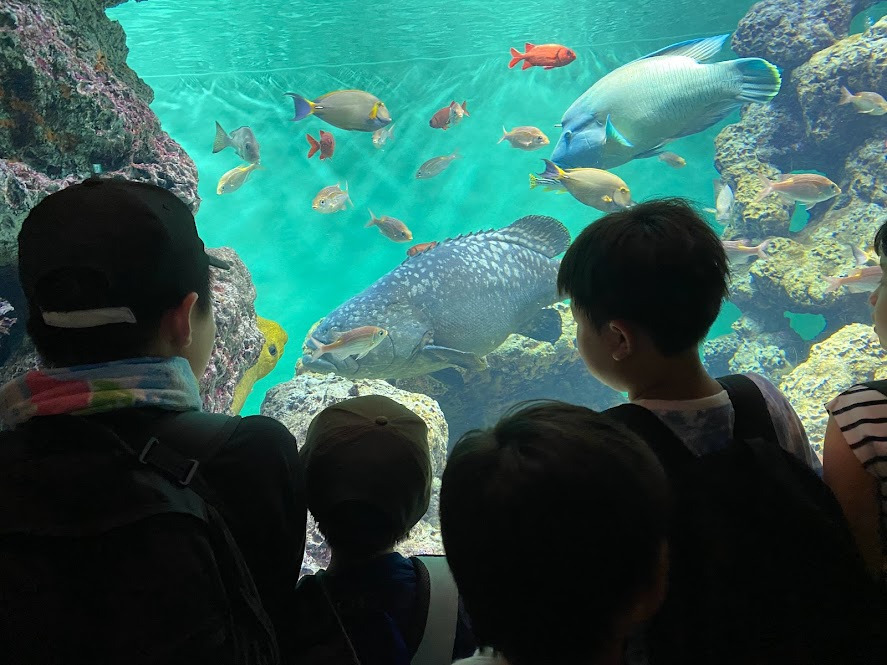 りんくの写真9枚目：