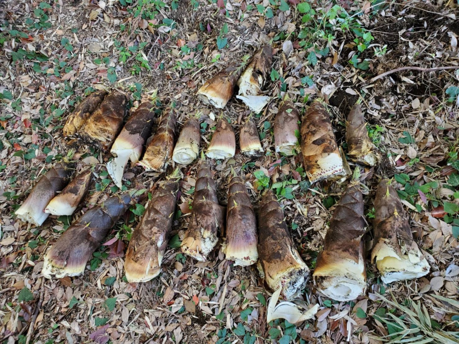 ワークA(生活支援員の求人)の写真8枚目: