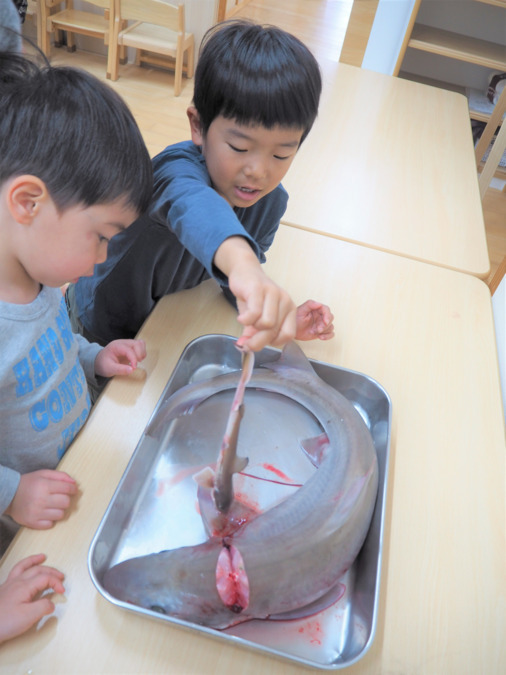さいと みんなの家（保育補助の求人）の写真6枚目：