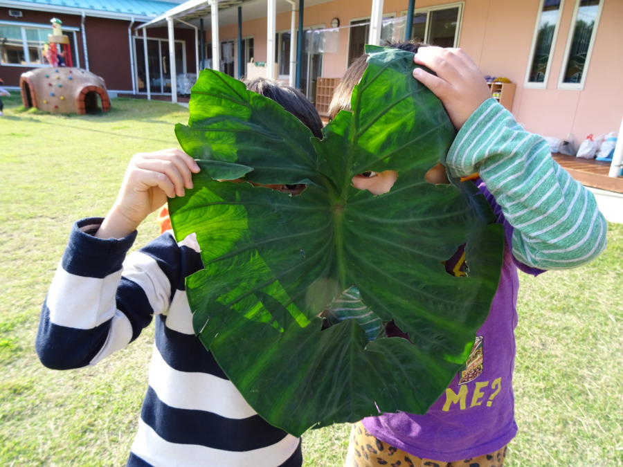 清原保育園(保育士の求人)の写真7枚目:
