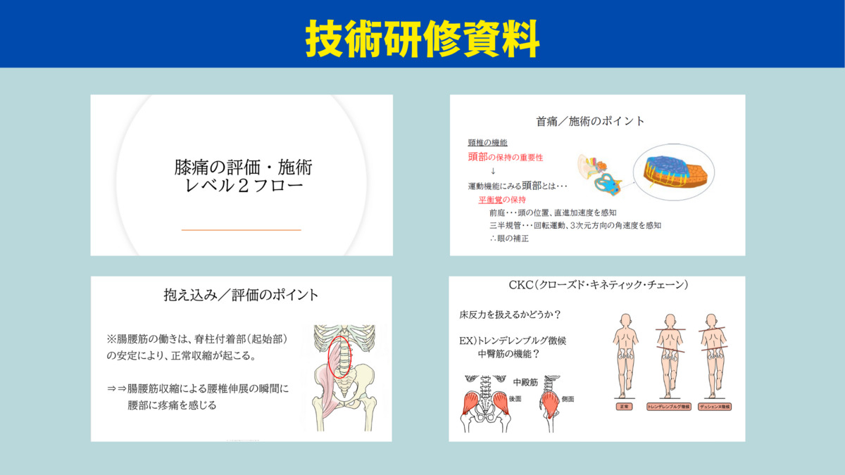 アイリス整体院  高松院（接骨院・鍼灸院併設）（あん摩マッサージ指圧師の求人）の写真11枚目：