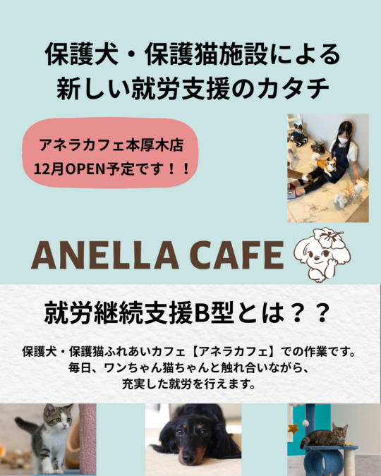アネラカフェ　保護犬保護猫ふれあいカフェ【2025年12月オープン予定】（サービス管理責任者の求人）の写真2枚目：