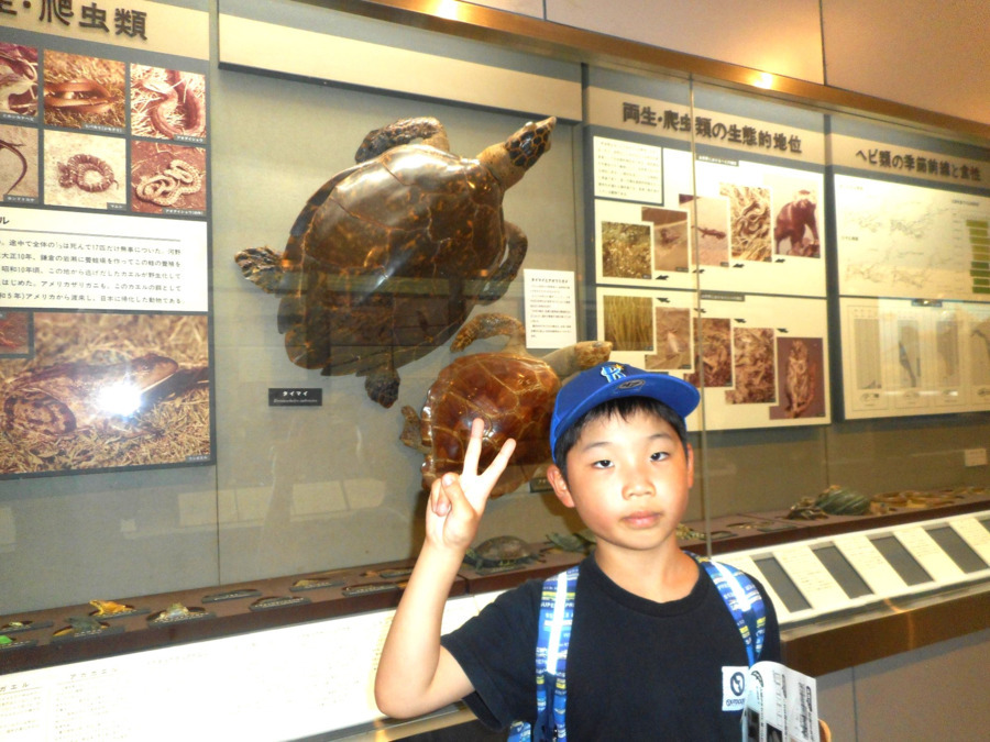 ハートリンク放課後等デイサービス富岡駅前（言語聴覚士の求人）の写真14枚目：