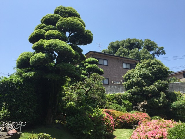 坂田歯科医院（歯科衛生士の求人）の写真4枚目：