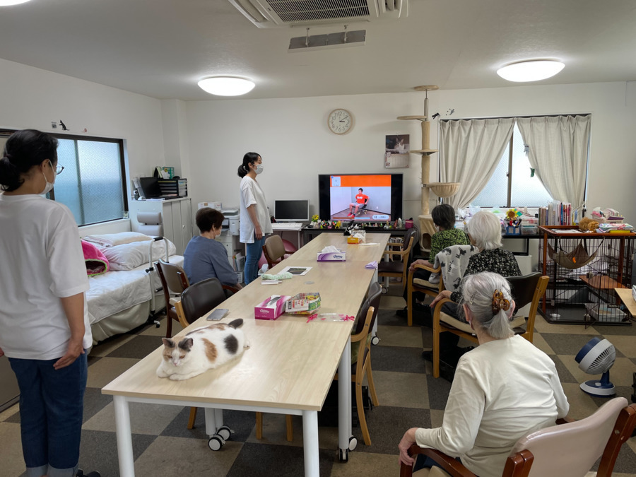 猫のいる家（介護職/ヘルパーの求人）の写真9枚目：
