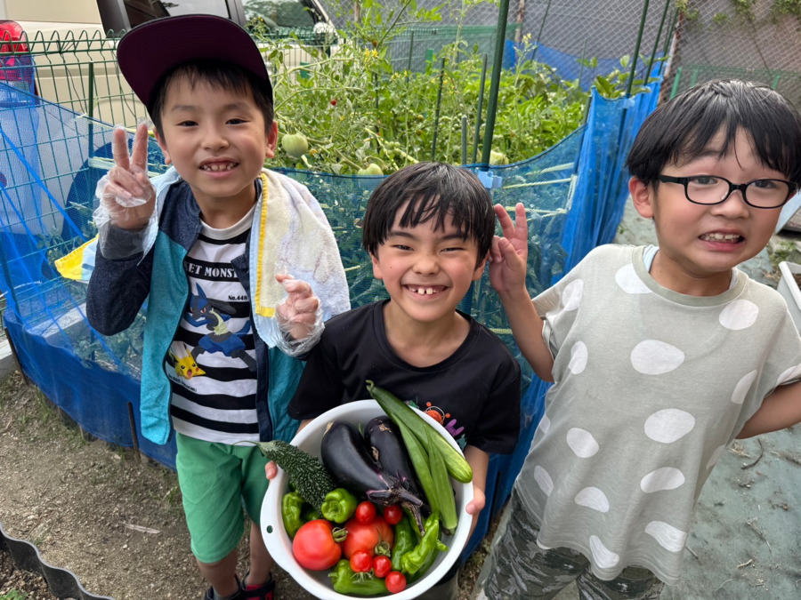 放課後等デイサービス　Green　East　【2025年04月01日オープン】（保育士の求人）の写真2枚目：たくさんとったぞー‼