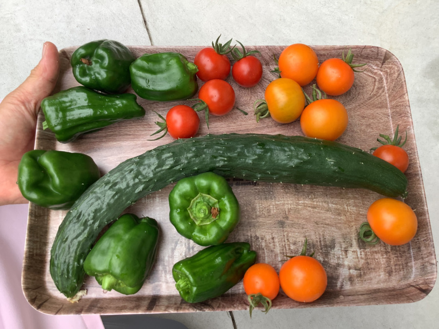 あーす保育園東油山(保育士の求人)の写真8枚目: