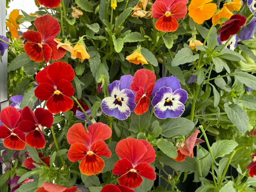 就労継続支援B型事業所アルコ【2026年03月オープン予定】（サービス管理責任者の求人）の写真13枚目：