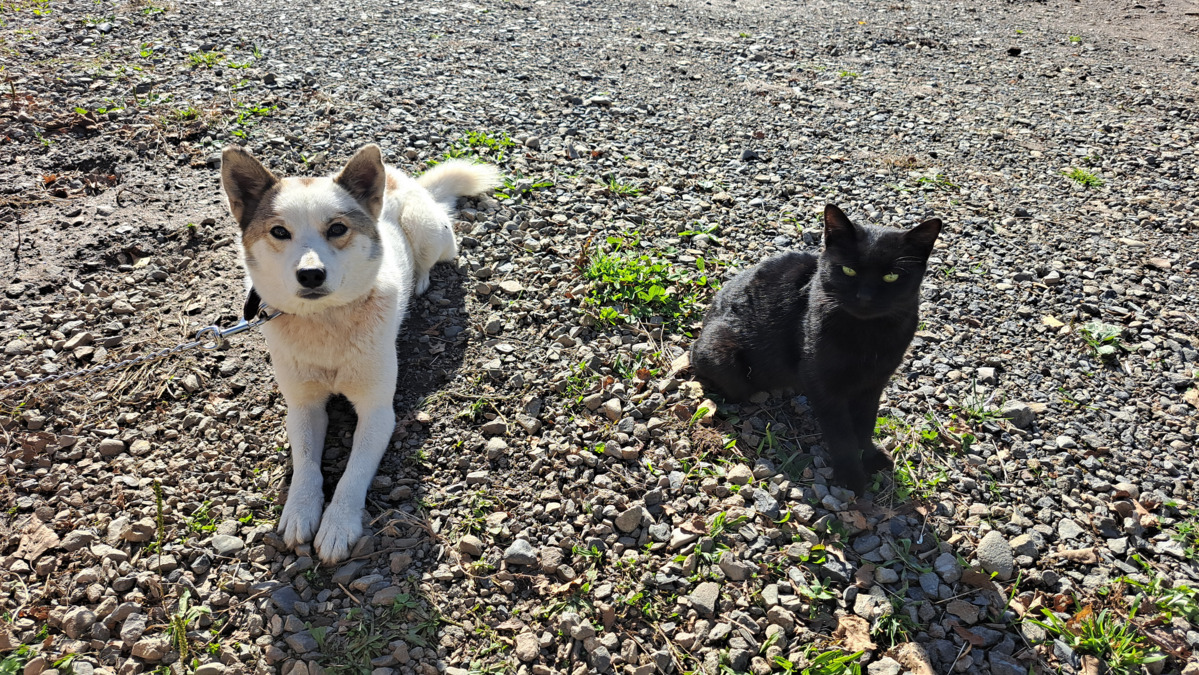 知的・精神障害者向けグループホーム ハッピーホースⅠ（サービス管理責任者の求人）の写真3枚目：