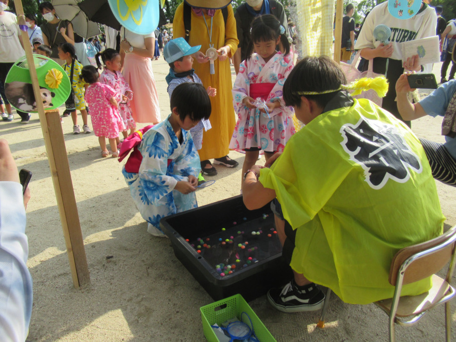 たつみ幼稚園（幼稚園教諭の求人）の写真6枚目：夏祭り　じょうずにすくってね