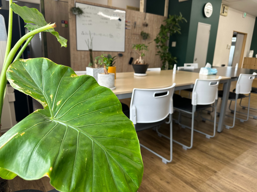 就労支援B型事業所アステラの写真