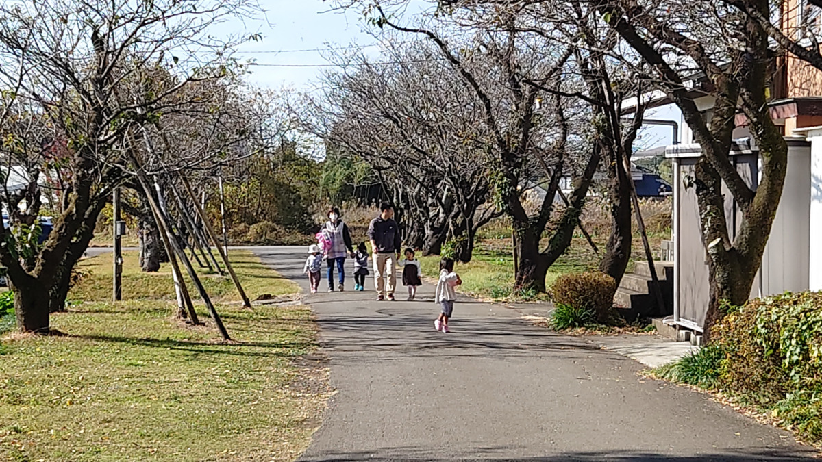 児童養護施設　金鈴学園（公認心理師/臨床心理士の求人）の写真3枚目：