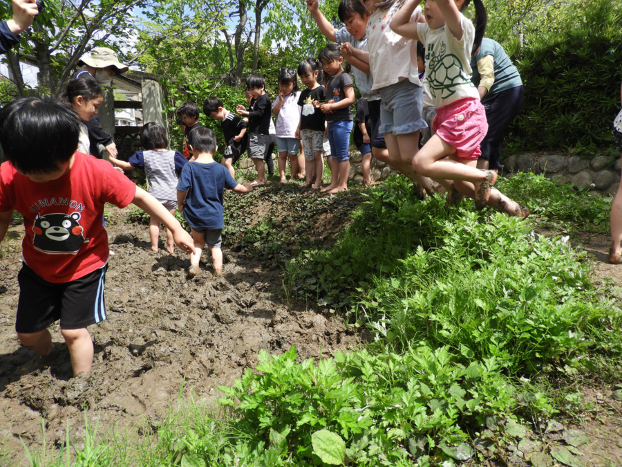 幼保連携型認定こども園 ニコニコ桜保育園の写真16枚目：田んぼでどろんこ、ジャンプ!
