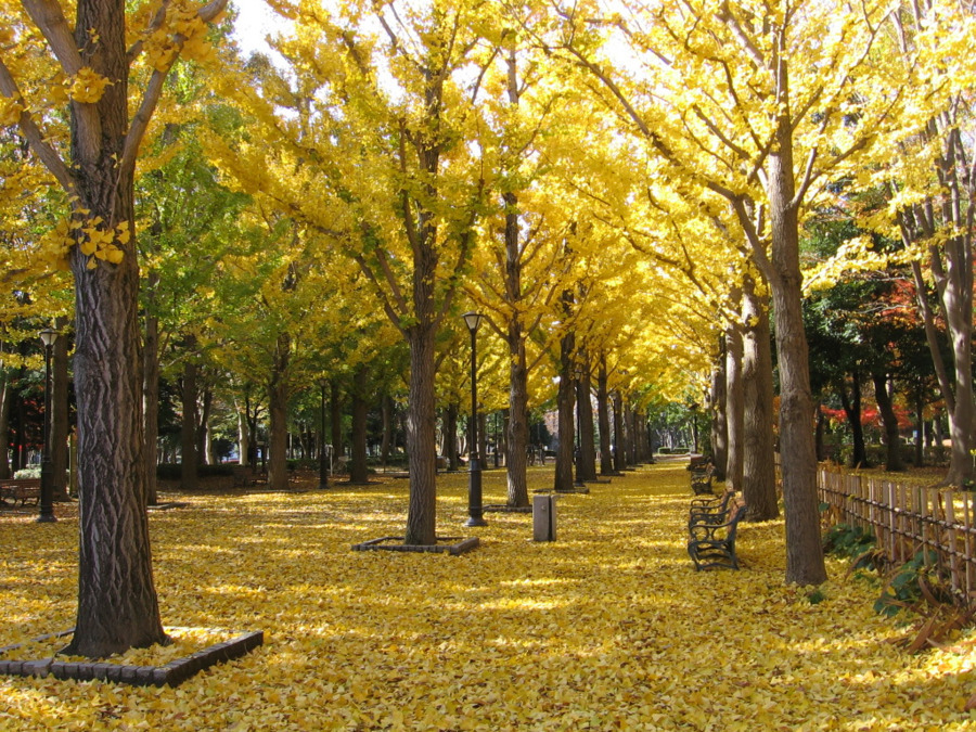 株式会社東京アスレティッククラブ つくば市洞峰公園の写真3枚目：