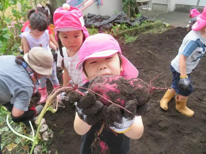 たいら虹保育園の写真