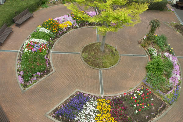 特別養護老人ホーム ぬまづホームの写真