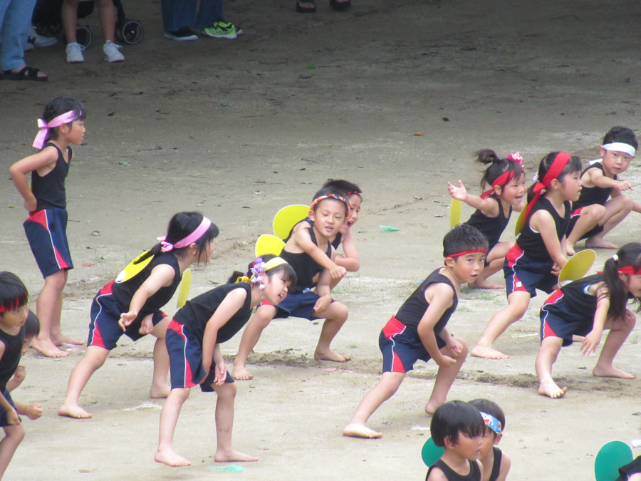 たつみ幼稚園（幼稚園教諭の求人）の写真7枚目：きまった！　よさこいおどり