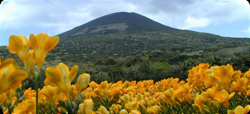 まどかあんしんサービスの写真