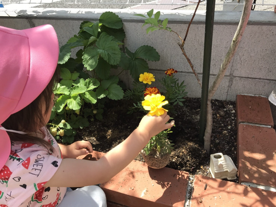 桜北町第三保育園（保育士の求人）の写真6枚目：なんでも体験する保育を心掛けています(#^^#)