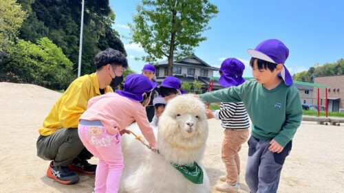 みずうみ第２保育園の写真3枚目：