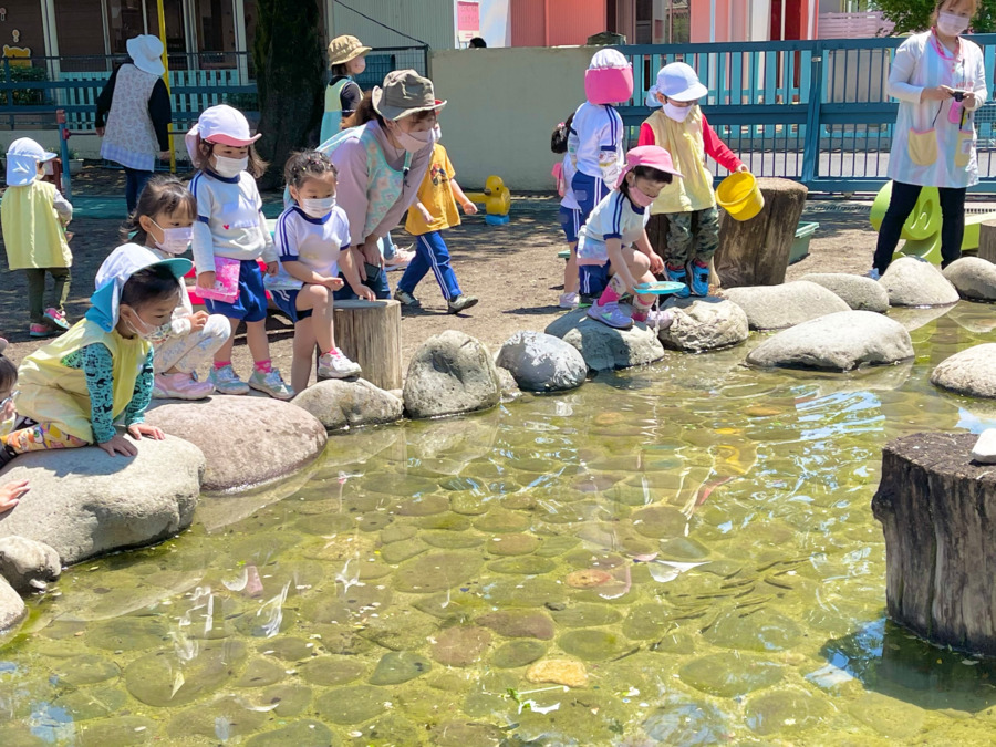 認定こども園東光寺幼稚園の写真2枚目: