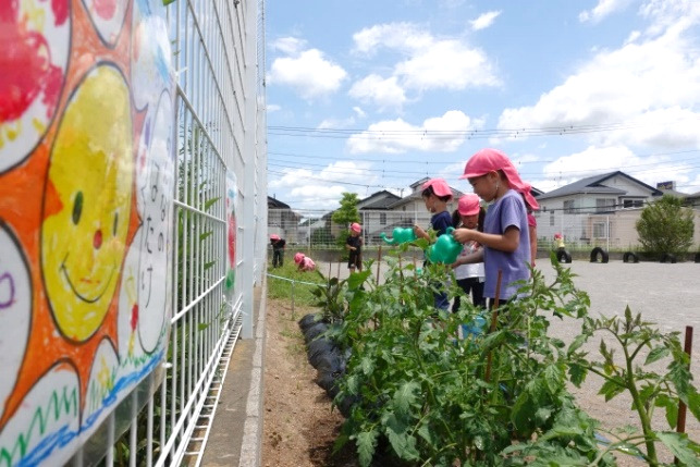 まなびの森 おひさま保育園の写真3枚目: