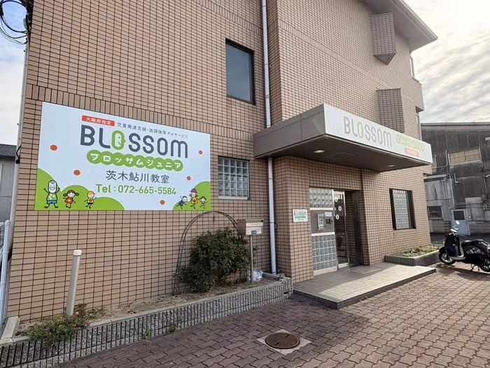 ブロッサムジュニア 茨木校の写真
