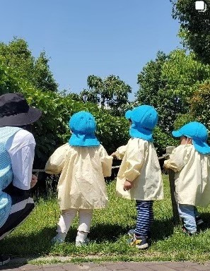 企業主導型保育　いんくるーじょん保育園 久宝寺保育園（保育士の求人）の写真12枚目：久宝寺🍀お散歩に出かけました！小さな草花がたくさん咲いていましたよ🌸