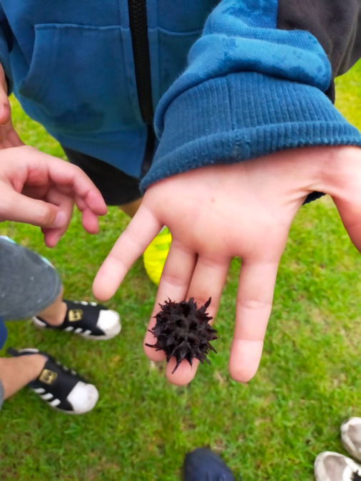 鶴見たけのこ学童クラブ（保育補助の求人）の写真3枚目：