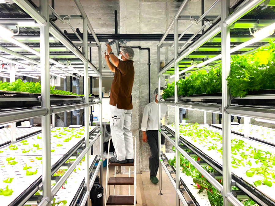 INEXサスティナブルワークス神奈川Ⅰ(仮称)の写真