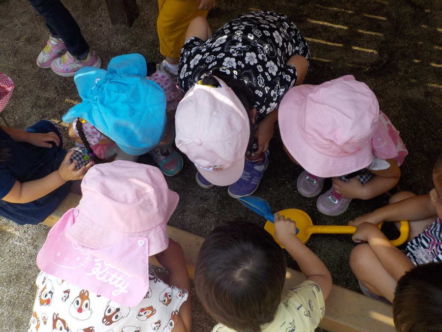 こころの森こども園の写真4枚目：