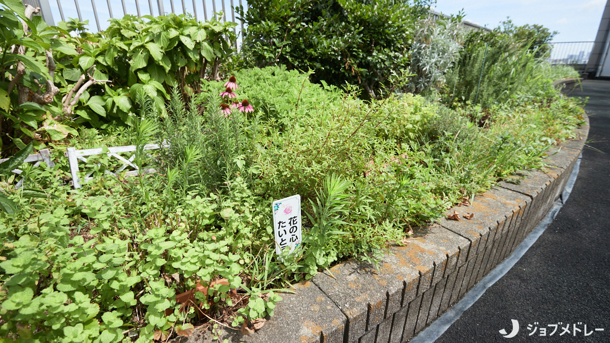 たいとう福祉作業所（生活支援員の求人）の写真14枚目：緑に溢れた明るい事業所です＊