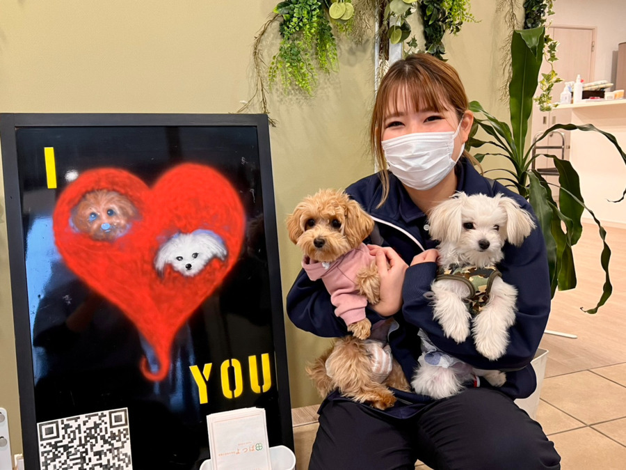 看護小規模多機能　よつば（ケアマネジャーの求人）の写真4枚目：