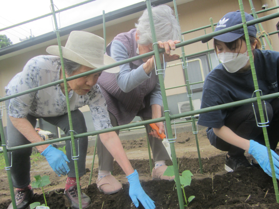 多機能ホーム あった家（介護職/ヘルパーの求人）の写真6枚目：敷地内の散歩や農作業を行っています