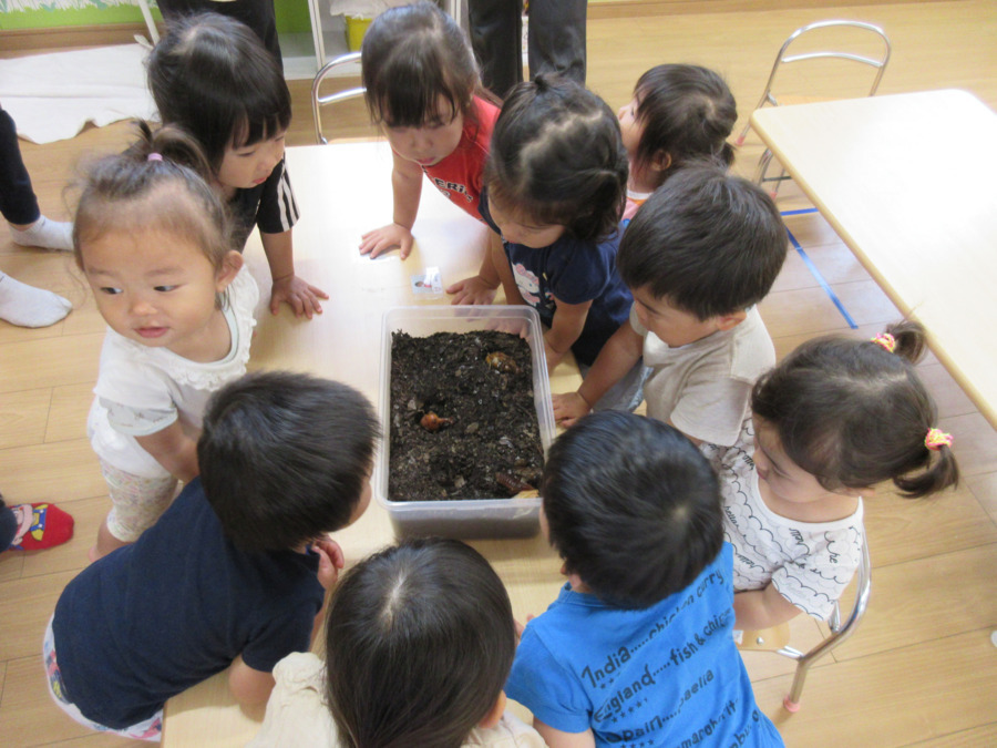 森のぽかぽか保育園の写真5枚目：