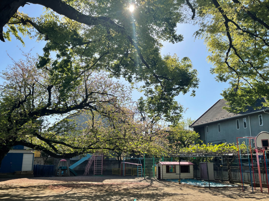 ひばり幼稚園の写真5枚目：春の日差しが注ぎ、気持ちの良い園庭で、元気に走りまわり遊びます。