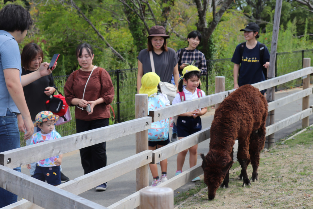 中島こども園(保育士の求人)の写真10枚目:親子遠足ー9月末に。近くの動物パークや水族館に!