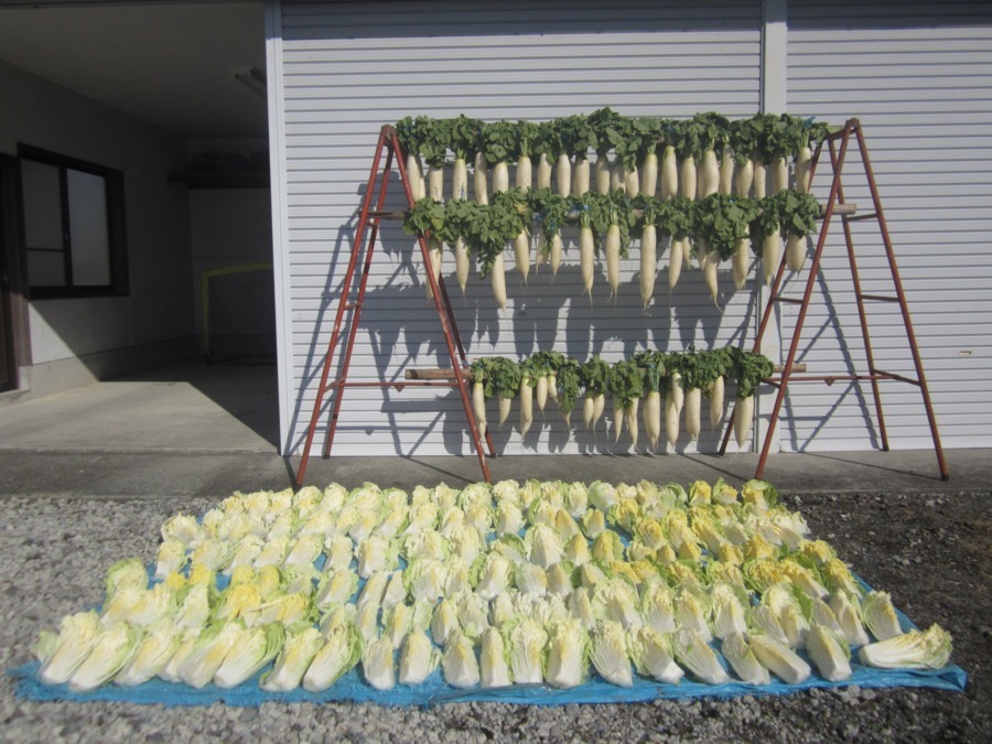 富士岡地域福祉事業所　みんなの家（児童指導員/指導員の求人）の写真5枚目：