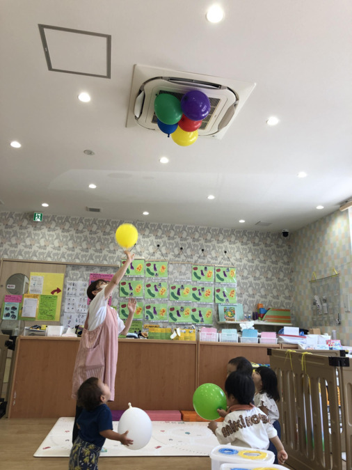 Shiny Kidsアポロンの写真
