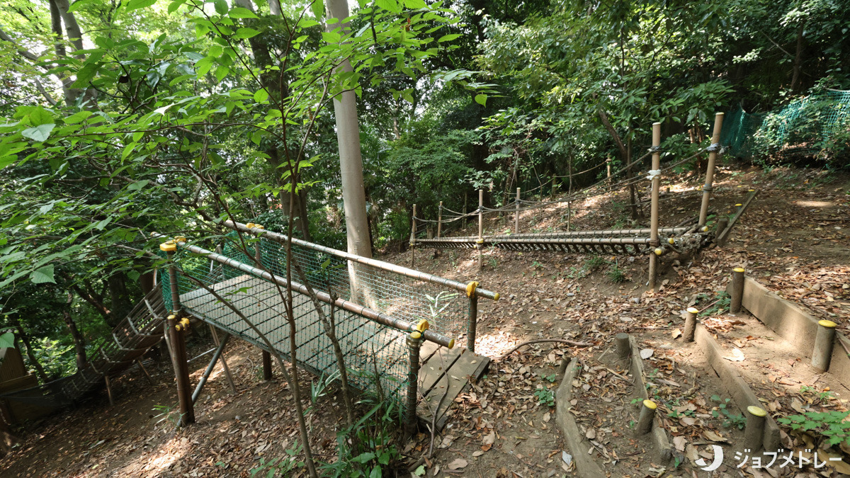 和田愛児園の写真8枚目：山の中には楽しい遊具がたくさん☆