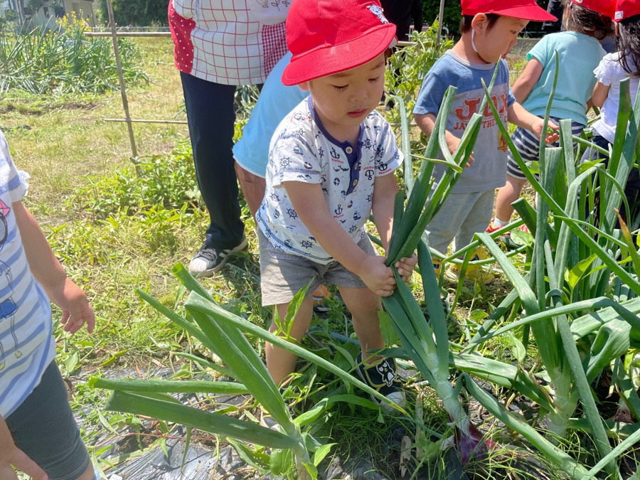 社会福祉法人報徳保育園の写真