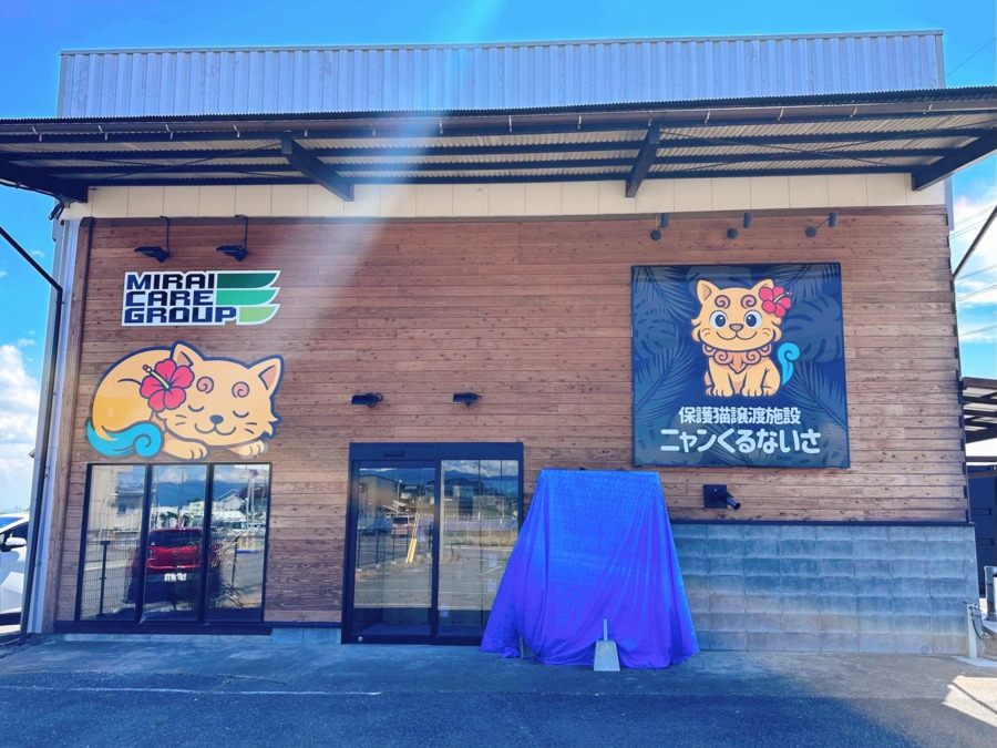 就労継続支援B型 みらいステップ(生活支援員の求人)の写真2枚目: