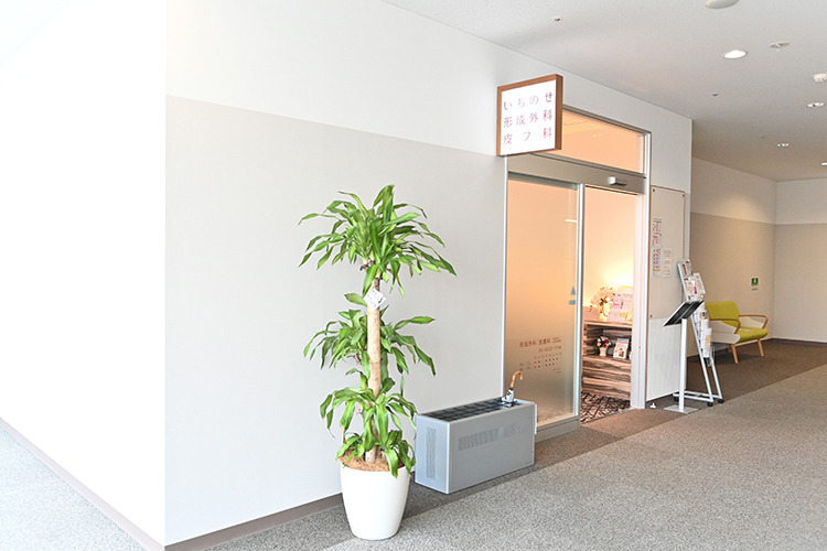 いちのせ形成外科皮膚科 眼瞼フェイスクリニック（医療事務/受付の求人）の写真4枚目：