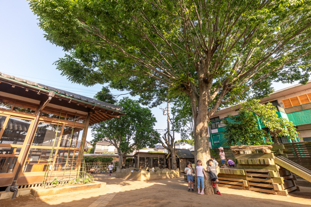 子どもの家野草舎の写真