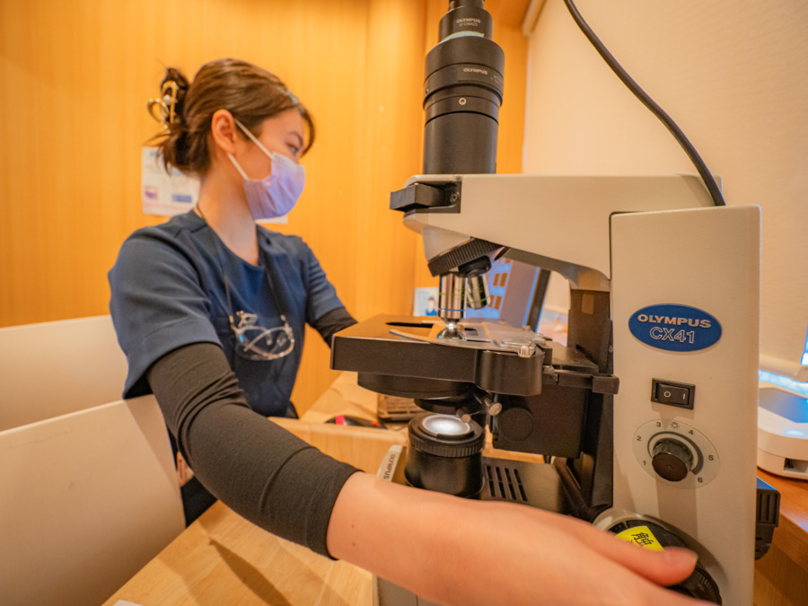 医療法人良光会 千里丘辻中歯科矯正歯科の写真6枚目:コンサルルームにて、口腔内の細菌を見ていただき、歯周内科治療の説明をします。