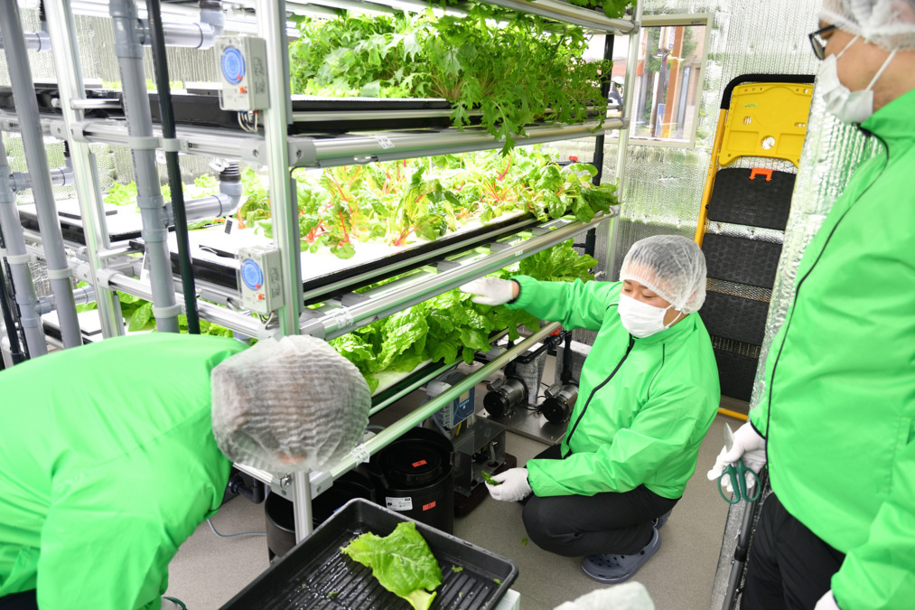 ふくふくファーム帝塚山【2025年03月オープン】(生活支援員の求人)の写真7枚目: